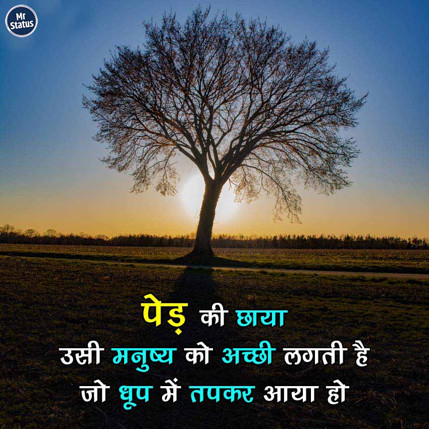 Download free status image